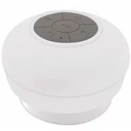 TEC 41 19
