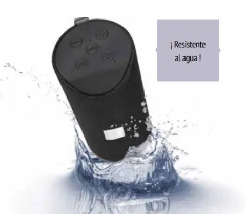 TEC 43 Bocina Pávlov
