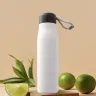 TH 15 SALIX AMBIENTE5 copy